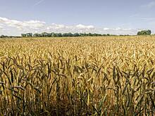 Модернизация парка сельхозтехники поможет взаимодействию агропромышленного комплекса с предприятиями ОПК