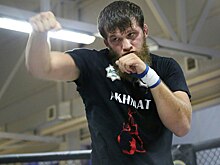 Чеченский боец принял вызов вступившегося за Емельяненко украинца