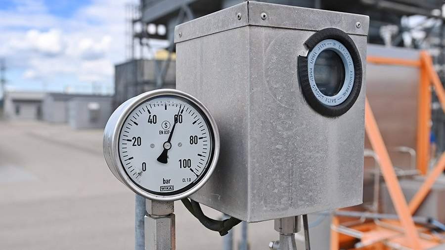 В Австрии заявили об отсутствии альтернативы российскому газу