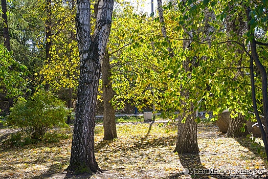 Прокуратура заставила мэрию Екатеринбурга отменить плату за съемку на телефон в дендрариях