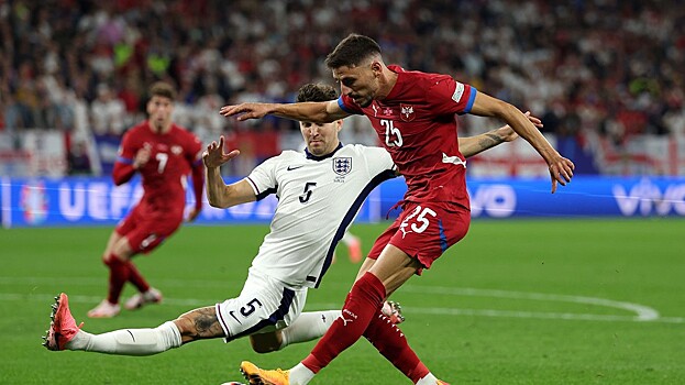 Божович высказался о возможном снятии сборной Сербии с Евро