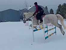 Всадники Ямала привезли из Югры 11 медалей по конкуру