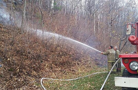 Пять лесных пожаров ликвидированы в Приморье