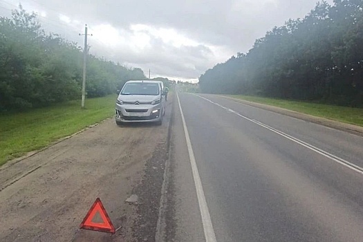 На трассе Орёл — Тамбов в Орловской области водитель сбил косулю