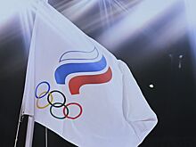Состав сборной России на Олимпиаде-2024 в Париже: кого из россиян МОК допустил к участию в Играх