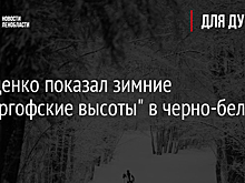 Дрозденко показал зимние "Дудергофские высоты" в черно-белых тонах