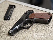 Двое приморцев получили сроки за попытку продать собранный за 25 лет арсенал оружия