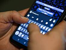 Популярный российский блогер захотел попросить Путина подписаться на его канал в MAX