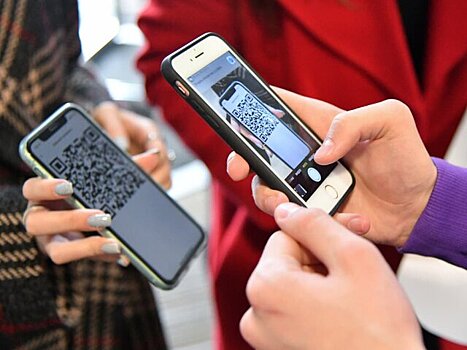В Псковской области расширят применение системы QR-кодов