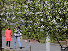 В Челябинской области потеплеет до +22 °С на текущей неделе