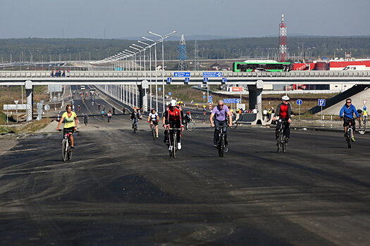 Почему при строительстве ЕКАД не учли интересы садоводов