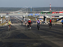 Почему при строительстве ЕКАД не учли интересы садоводов