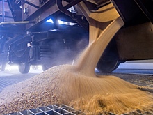 В Турции объяснили проблемы зерновой сделки