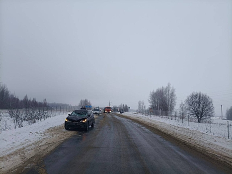 Лось в Костромской области попробовал на прочность противолосиный забор и погиб