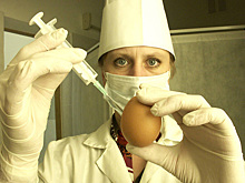 Россиян 22 апреля массово проверят на знание устройства мира