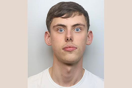 "Удивленный" британец прославился после побега от полиции на скорости 240 км/ч