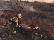 За день в Курской области семь раз горела сухая трава