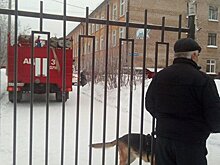 Из пермской школы эвакуировали почти 700 детей