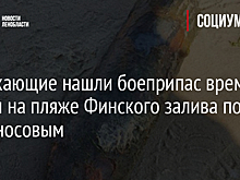 Отдыхающие нашли боеприпас времен войны на пляже Финского залива под Ломоносовым