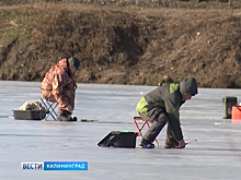 МЧС предупредило жителей столичного региона об усилении ветра до 18 м/с в пятницу