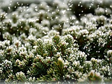 20 фактов о снеге, о которых многие не знают