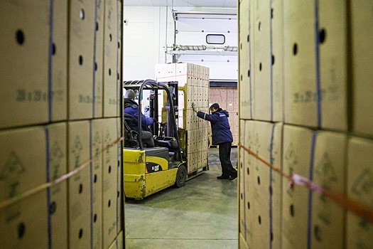 В Госдуме предложили раздавать конфискованные контрафактные товары нуждающимся