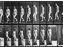 Виктор Агамов-Тупицын. Бесполетное воздухоплавание: статьи, рецензии и разговоры с художниками