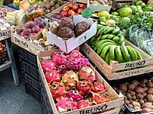 Назван неожиданный продукт для профилактики рака кишечника