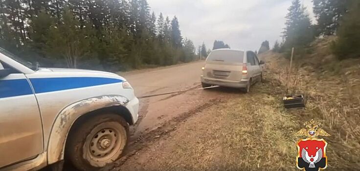 Сотрудники ГАИ в Удмуртии помогли застрявшему на обочине водителю