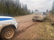 Сотрудники ГАИ в Удмуртии помогли застрявшему на обочине водителю