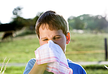 Врач перечислила основные риски для аллергиков в летний период