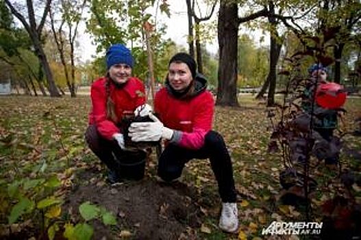 «АиФ-Казань» посадил аллею у ДК химиков в честь 40-летия газеты