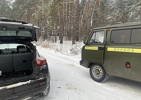 Подмосковные лесничие - настоящие мужчины