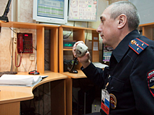 Скелет обнаружили в лесном массиве под Петербургом