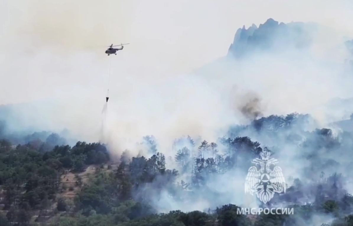 Полиция установила личность виновника природного пожара в Коктебеле