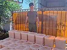 Донской казак передал мед со своей пасеки бойцам СВО