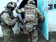 ФСБ: в Калининградской области задержан подозреваемый в диверсиях в 15 регионах