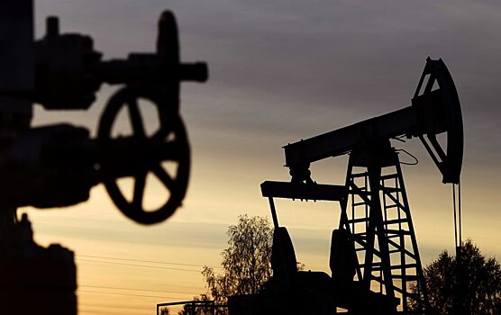Эксперт назвал границы колебаний цены для нефти