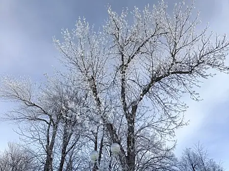 В Самарской области март будет теплее, чем обычно
