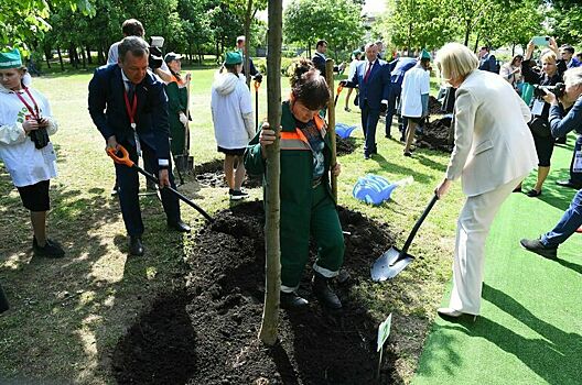 Участники Невского экологического конгресса высадили молодые деревья