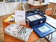 В Северной Осетии три участника ЕГЭ по истории получили 100 баллов