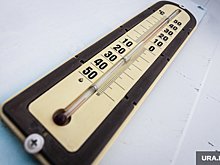 В Курганской области ночью похолодает до 4 градусов