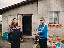 Пасека посреди поселка: жители Антипино страдают от пчел, которых разводит их соседка