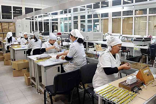 Семнадцать новых заводов готовы запустить в Кыргызстане в ближайшие недели