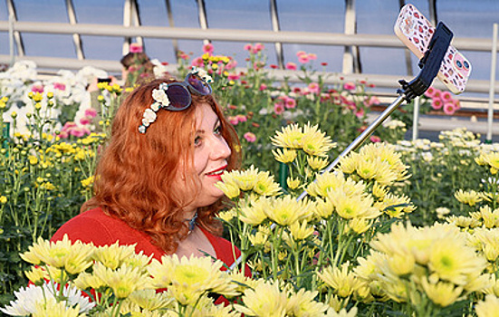 Роскомнадзор в 2025 году одобрил регистрацию более 110 тыс. блогеров