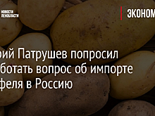 Дмитрий Патрушев попросил проработать вопрос об импорте картофеля в Россию