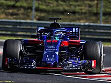 В Toro Rosso довольны итогами дня