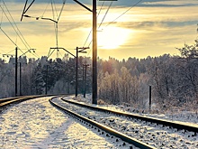 В Беларуси по техническим причинам остановили поезд из Петербурга