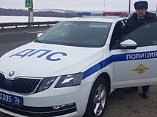 Воронежский госавтоинспектор помог семье с детьми, у которой сломалась машина на трассе