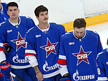 Владимир Плющев: «В СКА девять легионеров – это как? На «Зенит» смотрят, возможно»